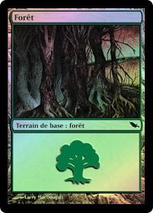 Forest (#298)
Shadowmoor (Foil) - French
Single
Magic The Gathering