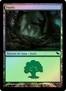 Forest (#299)
Shadowmoor (Foil) - French
Single
Magic The Gathering