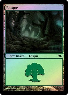 Forest (#299)
Shadowmoor (Foil) - Spanish
Single
Magic The Gathering
