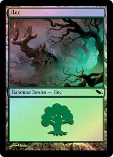 Forest (#300)
Shadowmoor (Foil) - Russian
Single
Magic The Gathering