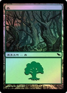 Forest (#301)
Shadowmoor (Foil) - Japanese
Single
Magic The Gathering