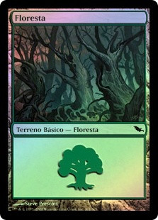 Forest (#301)
Shadowmoor (Foil) - Portuguese
Single
Magic The Gathering