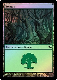 Forest (#301)
Shadowmoor (Foil) - Spanish
Single
Magic The Gathering