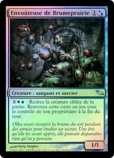 Mistmeadow Witch
Shadowmoor (Foil) - French
Single
Magic The Gathering