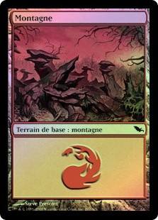 Mountain (#297)
Shadowmoor (Foil) - French
Single
Magic The Gathering