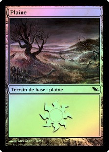 Plains (#283)
Shadowmoor (Foil) - French
Single
Magic The Gathering