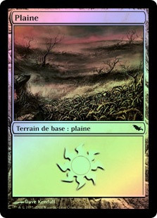 Plains (#284)
Shadowmoor (Foil) - French
Single
Magic The Gathering