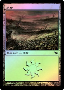 Plains (#284)
Shadowmoor (Foil) - Japanese
Single
Magic The Gathering