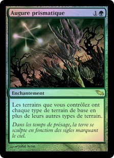 Prismatic Omen
Shadowmoor (Foil) - French
Single
Magic The Gathering