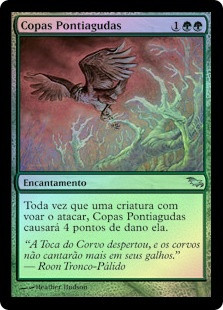 Raking Canopy
Shadowmoor (Foil) - Portuguese
Single
Magic The Gathering
