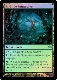 Sapseep Forest
Shadowmoor (Foil) - French
Single
Magic The Gathering