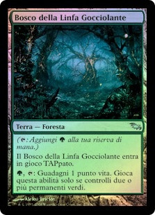 Sapseep Forest
Shadowmoor (Foil) - Italian
Single
Magic The Gathering