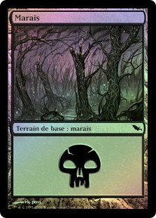 Swamp (#292)
Shadowmoor (Foil) - French
Single
Magic The Gathering