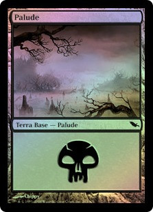 Swamp (#293)
Shadowmoor (Foil) - Italian
Single
Magic The Gathering