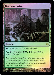Wooded Bastion
Shadowmoor (Foil) - French
Single
Magic The Gathering