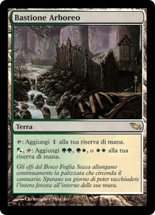 Wooded Bastion
Shadowmoor - Italian
Single
Magic The Gathering