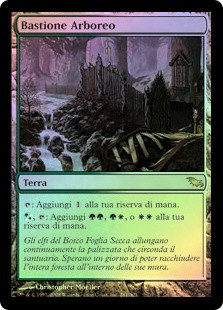 Wooded Bastion | Shadowmoor | Star City Games