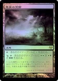 Fetid Heath
Eventide (Foil) - Japanese
Single
Magic The Gathering