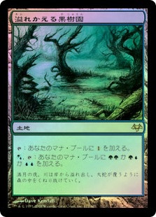 Flooded Grove
Eventide (Foil) - Japanese
Single
Magic The Gathering