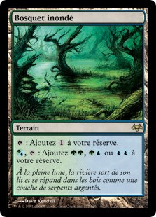 Flooded Grove
Eventide - French
Single
Magic The Gathering
