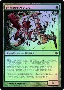 Wild Nacatl
Shards of Alara (Foil) - Japanese
Single
Magic The Gathering