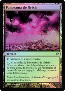 Grixis Panorama
Shards of Alara (Foil) - French
Single
Magic The Gathering