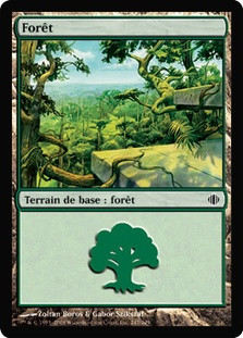 Forest (#247)
Shards of Alara - French
Single
Magic The Gathering