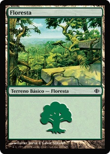 Forest (#247)
Shards of Alara - Portuguese
Single
Magic The Gathering