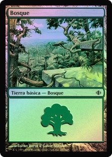 Forest (#247)
Shards of Alara (Foil) - Spanish
Single
Magic The Gathering