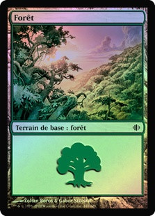 Forest (#248)
Shards of Alara (Foil) - French
Single
Magic The Gathering