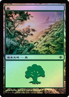 Forest (#248)
Shards of Alara (Foil) - Japanese
Single
Magic The Gathering