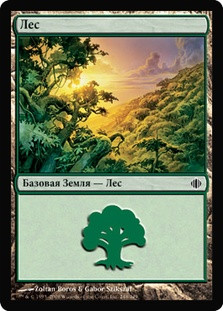Forest (#248)
Shards of Alara - Russian
Single
Magic The Gathering