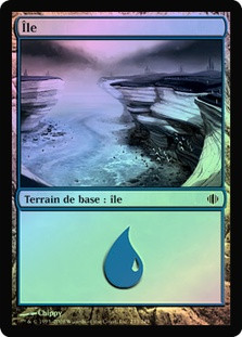 Island (#235)
Shards of Alara (Foil) - French
Single
Magic The Gathering