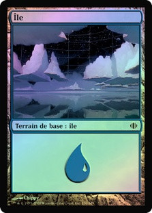 Island (#236)
Shards of Alara (Foil) - French
Single
Magic The Gathering