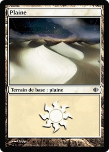Plains (#233)
Shards of Alara - French
Single
Magic The Gathering