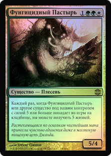Mycoid Shepherd
Alara Reborn (Foil) - Russian
Single
Magic The Gathering