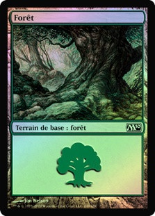 Forest (#249)
Magic 2010 Core Set (Foil) - French
Single
Magic The Gathering