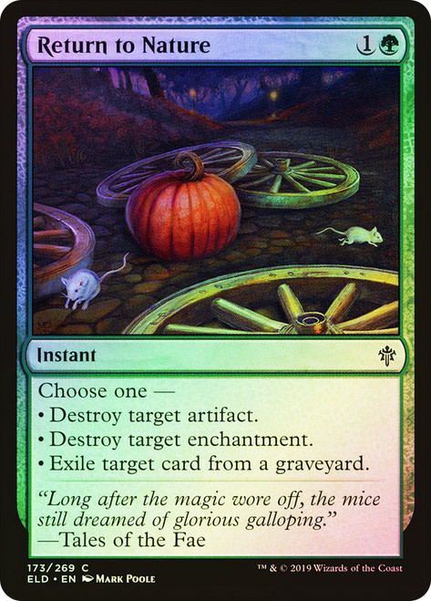 Return to Nature\nThrone of Eldraine\nSingle\nMagic The Gathering