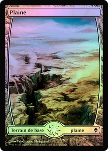 Plains (#232) (Full Art)
Zendikar (Foil) - French
Single
Magic The Gathering