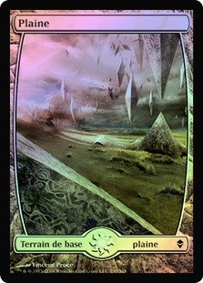 Plains (#233) (Full Art)
Zendikar (Foil) - French
Single
Magic The Gathering
