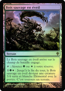 Stirring Wildwood
Worldwake (Foil) - French
Single
Magic The Gathering