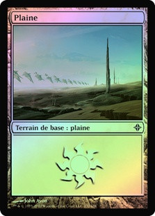 Plains (#232)
Rise of the Eldrazi (Foil) - French
Single
Magic The Gathering