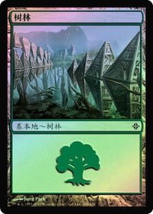 Forest (#246) | Rise of the Eldrazi - Japanese | Star City Games