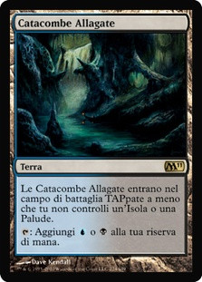 Drowned Catacomb
Magic 2011 Core Set - Italian
Single
Magic The Gathering