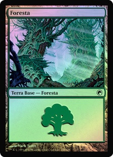 Forest (#246) | Scars of Mirrodin - Chinese - Traditional | Star