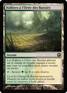 Razorverge Thicket
Scars of Mirrodin - French
Single
Magic The Gathering