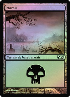 Swamp (#239)
Magic 2012 Core Set (Foil) - French
Single
Magic The Gathering