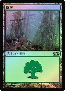 Forest (#246)
Magic 2012 Core Set (Foil) - Chinese Traditional
Single
Magic The Gathering