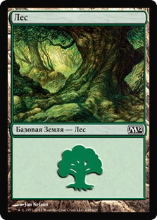 Forest (#248)
Magic 2012 Core Set - Russian
Single
Magic The Gathering