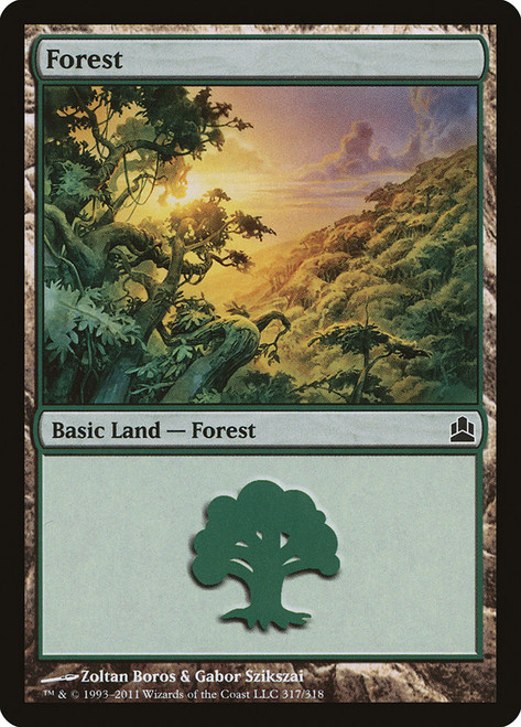Forest (#317)\nCommander: 2011 Edition\nSingle\nMagic The Gathering